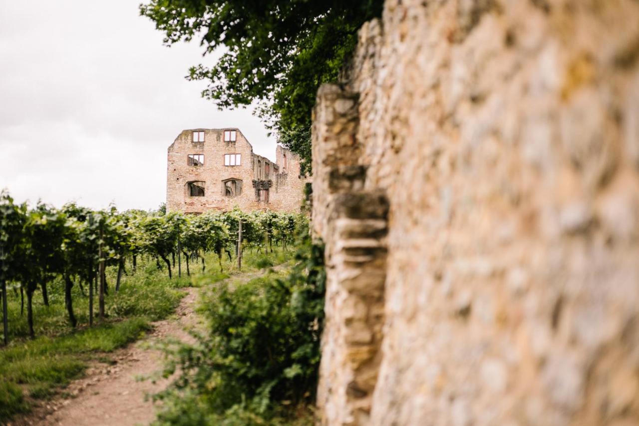 Weinzuhause Hotel-Restaurant-Vinothek Mommenheim Luaran gambar