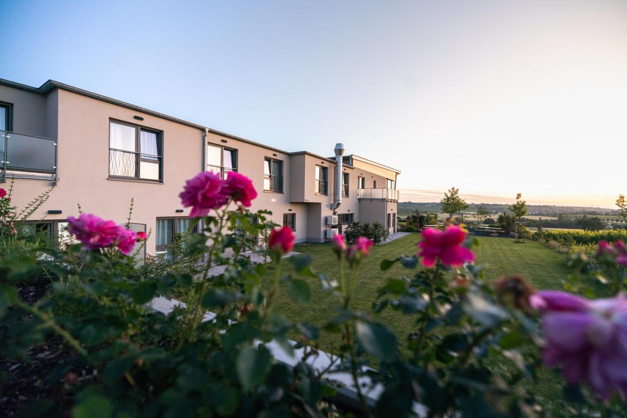 Weinzuhause Hotel-Restaurant-Vinothek Mommenheim Luaran gambar